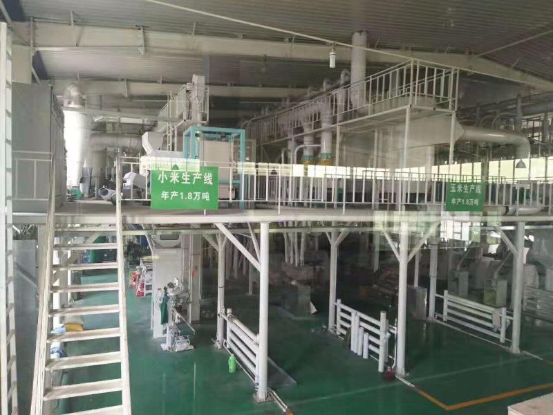 影響小米加工設備產量的因素有哪些(圖1)