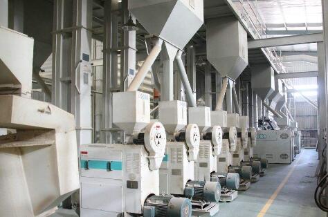 大米加工廠家大米加工生產線安全生產注意事項(圖1)