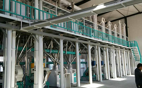 玉米加工設備工藝中清粉系統與研磨系統篩理系統的關系(圖1)